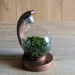 bulb terrarium ball [cool] 3枚目の画像