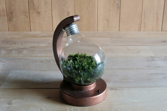 bulb terrarium ball [cool] 3枚目の画像