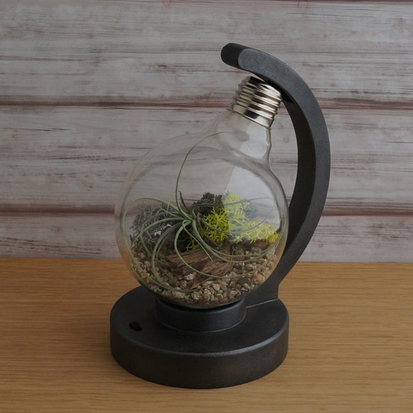 bulb terrarium ball [cast iron] 2枚目の画像