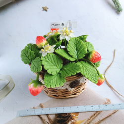 【特價】草莓黏土盆栽 memo夾 / 擺飾 第1張的照片