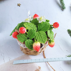 【特價】草莓黏土盆栽 memo夾 / 擺飾 第2張的照片