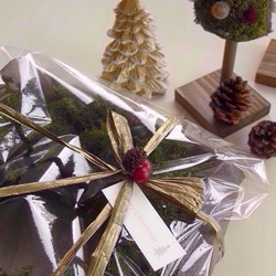 ホワイト＆レッド&木の実のフロッキーグリーンのクリスマスリース～ミドル 4枚目の画像