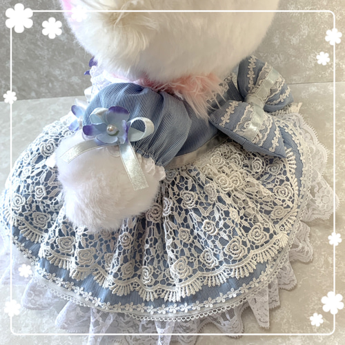 ウィッシュミーメル ♡ 水色ドレス ♡ メルメルドール