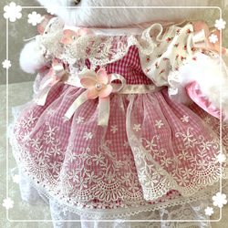 ウィッシュミーメル　♡ チェリーピンクドレス ♡　メルメルドール 3枚目の画像
