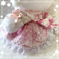 ウィッシュミーメル　♡ チェリーピンクドレス ♡　メルメルドール 6枚目の画像