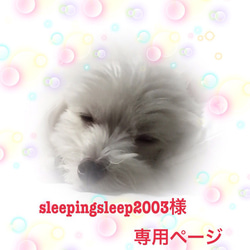 sleepingsleep様専用ページとなります 1枚目の画像