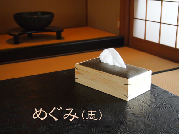 Tissue Case 第1張的照片