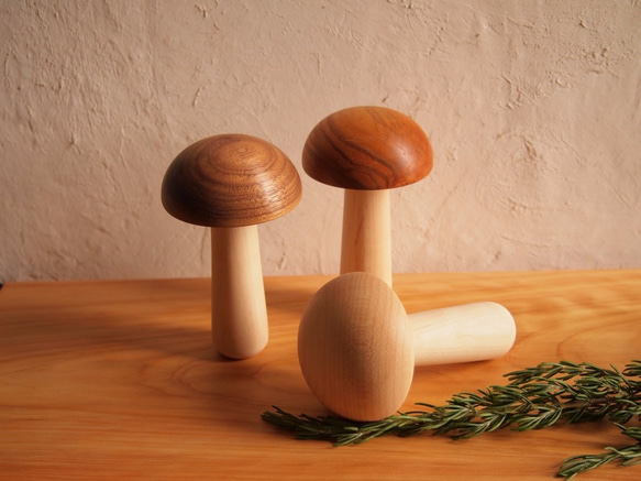 德寧蘑菇 第3張的照片