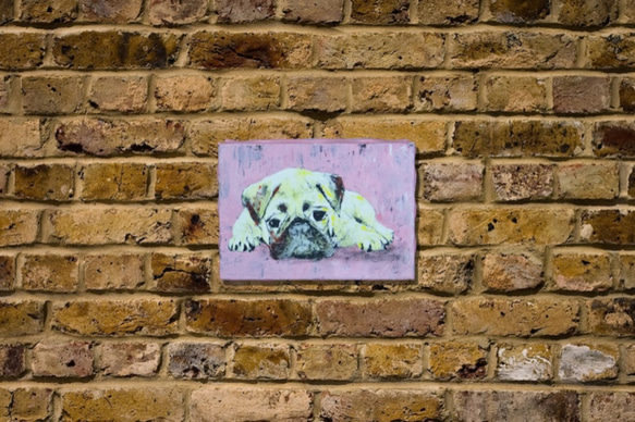 Pug / dog canvas art 第1張的照片