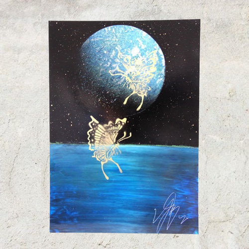 Butterfly / 蝶のスプレーアート作品。 絵画 TOMOYA 通販