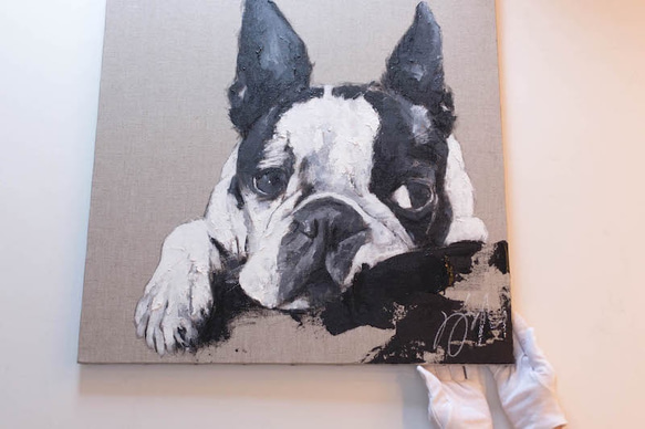 Boston Terrier contemporary art 第2張的照片