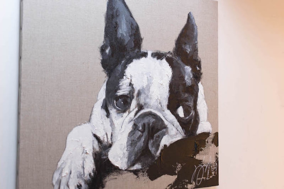 Boston Terrier contemporary art 第3張的照片