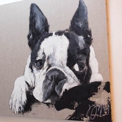 Boston Terrier contemporary art 第4張的照片