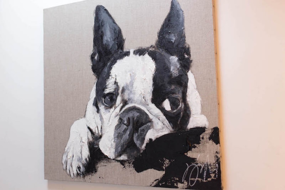 Boston Terrier contemporary art 第4張的照片