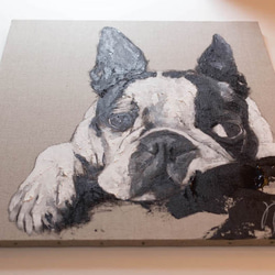 Boston Terrier contemporary art 第5張的照片