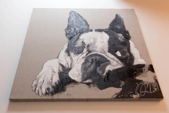 Boston Terrier contemporary art 第5張的照片