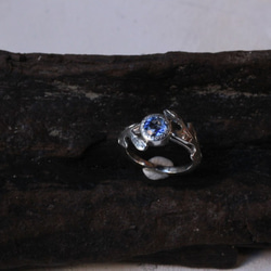 ネパール産　カイヤナイトのリーフリング  azur /silver 5枚目の画像