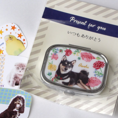 うちの子ピルケース 写真＆名入り☆メッセージ台紙付き おもちゃ