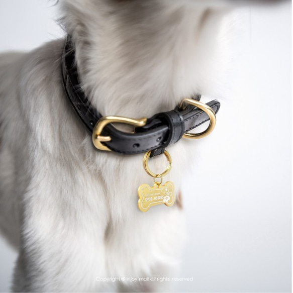 寵物 客製化 汪星人系列 骨頭造型 柴犬 狗 貓 寵物吊牌 第2張的照片