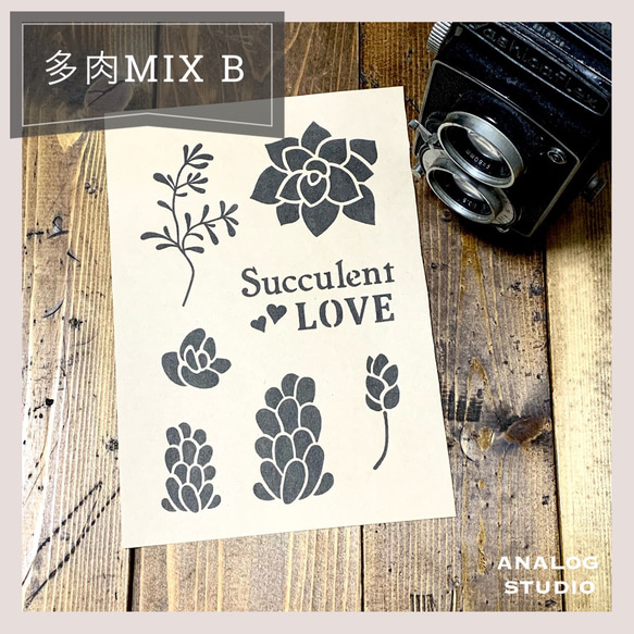 A5】ステンシルシート『多肉MIX B』送料無料 型紙 ANALOG STUDIO. 通販