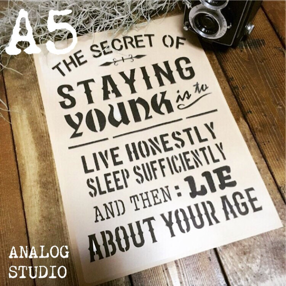 A5『YOUNG』ステンシルシート【送料無料】 1枚目の画像