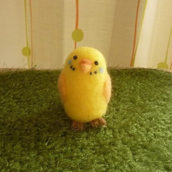 幸せを呼ぶ黄色いインコ 1枚目の画像