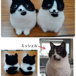 猫の日記念☆うちのにゃんこシリーズ☆限定５匹様 2枚目の画像