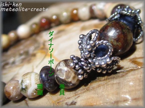 ～創世記～chondrite＆fossile ≪Ammonite Labo≫ 3枚目の画像