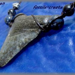 ～Core～/Carchaodon megalodon≪Ammonite Labo≫ 5枚目の画像