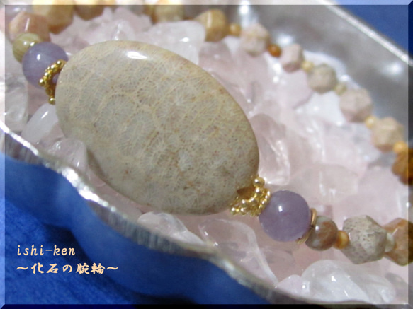 ～dugonの海～化石の腕輪　　≪Ammonite Labo≫ 1枚目の画像