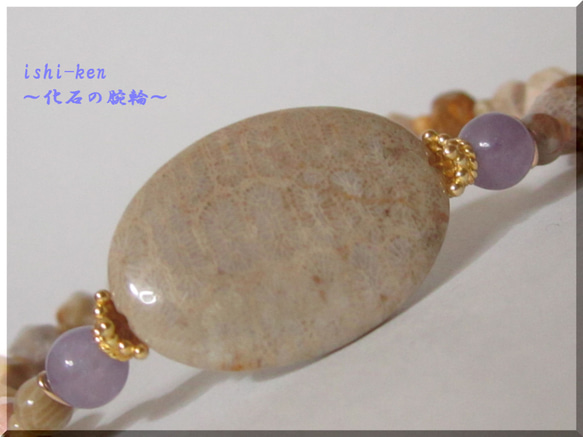 ～dugonの海～化石の腕輪　　≪Ammonite Labo≫ 2枚目の画像