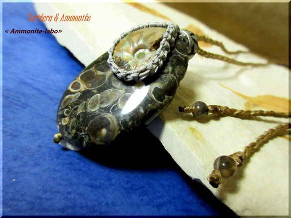 ～synchronicity～　≪Ammonite-labo≫ 5枚目の画像