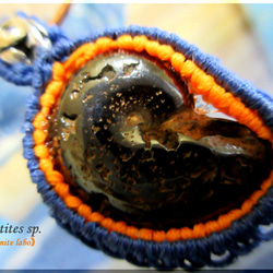 ⚑ ₇⁶ lubricant ⚑　《Ammonite labo》　 1枚目の画像