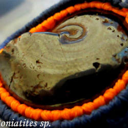 ⚑ ₇⁶ lubricant ⚑　《Ammonite labo》　 8枚目の画像
