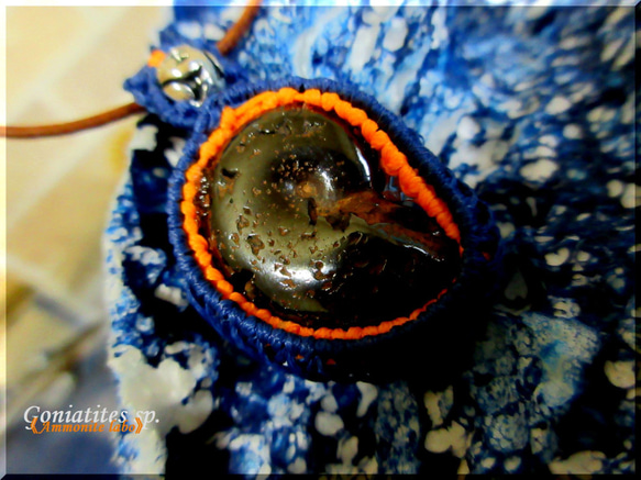 ⚑ ₇⁶ lubricant ⚑　《Ammonite labo》　 2枚目の画像
