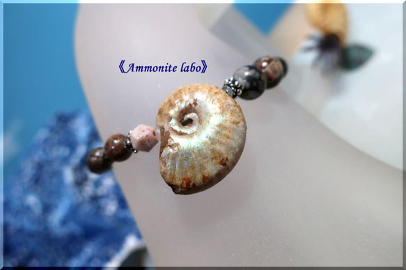 ～Fibonacci sequence～《Ammonite labo》 2枚目の画像