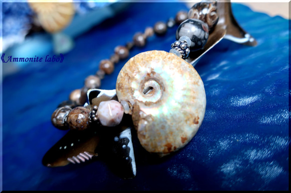 ～Fibonacci sequence～《Ammonite labo》 4枚目の画像