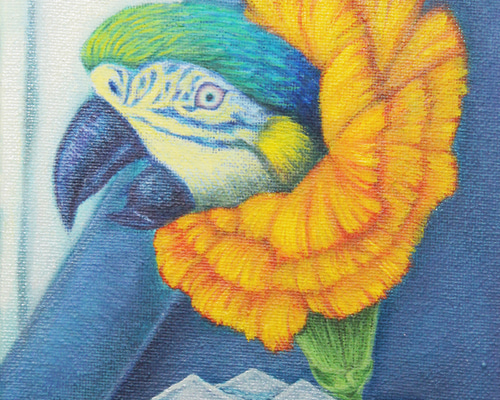 インコ　絵画 感情の花（インコ） 絵画 大塚麻世 通販 488208｜Creema(クリーマ)
