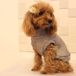 展示品　犬服　ジャズネップニット　ハイネック　クリームモカ　小型犬 2枚目の画像