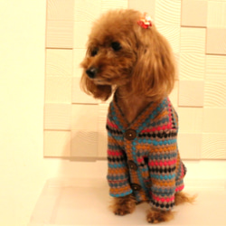展示品　犬服　雫ドットカーディガン　小型犬 3枚目の画像