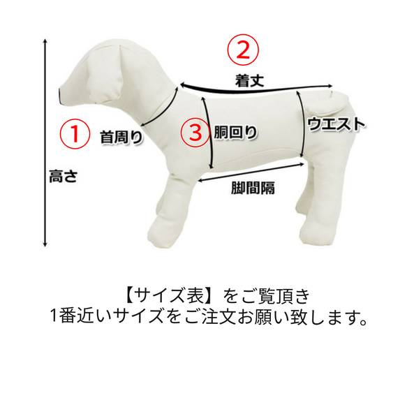 展示品　犬服　雫ドットカーディガン　小型犬 5枚目の画像