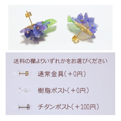 【ピアス】紫陽花好きさんのための、そのまんま紫陽花ピアス【水色】 5枚目の画像