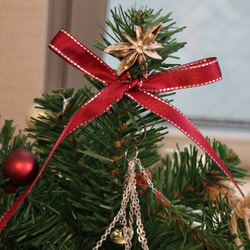 エトワールイリゼのクリスマスツリー～サンタが星を探して～ 2枚目の画像