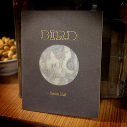 ZINE - 【BIRD】- Flying Sofye 女飛賊蘇飛系列漫畫誌 第1張的照片