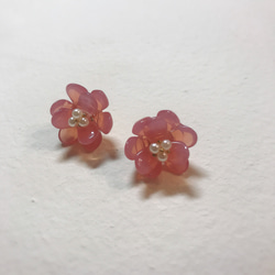 sakura. チェコガラスのフラワーピアス／イヤリング 2枚目の画像