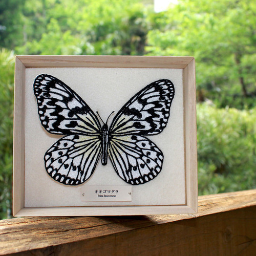 刺繍の標本 - オオゴマダラのブローチ ブローチ Kurumi 通販 3806250