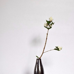 黒花瓶～金箔ライン～ 1枚目の画像