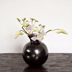 黒花瓶～クリアライン～ 2枚目の画像
