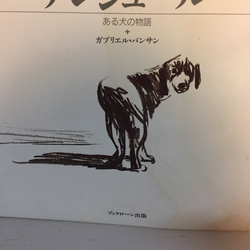 焼き菓子まちええる　あんことクルミのコラボ　アンジュール 帰省　手土産　お中元　暑中見舞い　和菓子好きにも 2枚目の画像