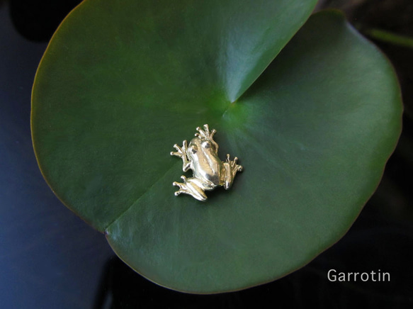 金の小さなカエルのピアス ピアス（スタッド・一粒） Garrotin 通販  